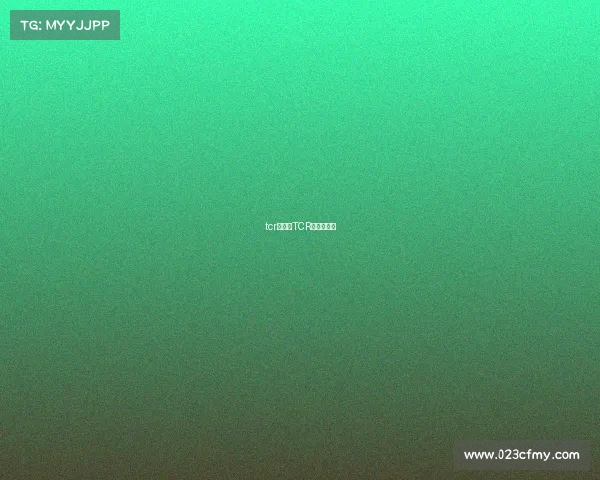 tcr赛事—TCR赛事赞助商