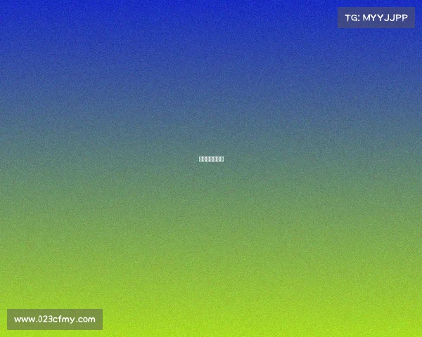 拟申办国际赛事